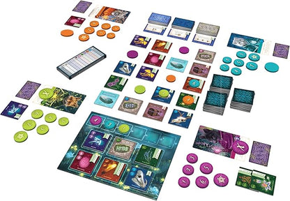 AEG &amp Flatout Games | Nocturne - Set Collection &amp Bidding Board Game | Play as Fox Mystics Find Magical Items &amp Cast Spells | Ages 10+ | 1-4 Players