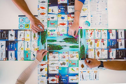 Stonemaier Games: Finspan - A Wingspan Game by David Gordon &amp Michael O’Connell | A Relaxing Strategy Board Game About Collecting Fish and Ocean Diving for Adults and Family | 1-5 Players 60 Mins