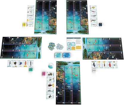 Stonemaier Games: Finspan - A Wingspan Game by David Gordon &amp Michael O’Connell | A Relaxing Strategy Board Game About Collecting Fish and Ocean Diving for Adults and Family | 1-5 Players 60 Mins