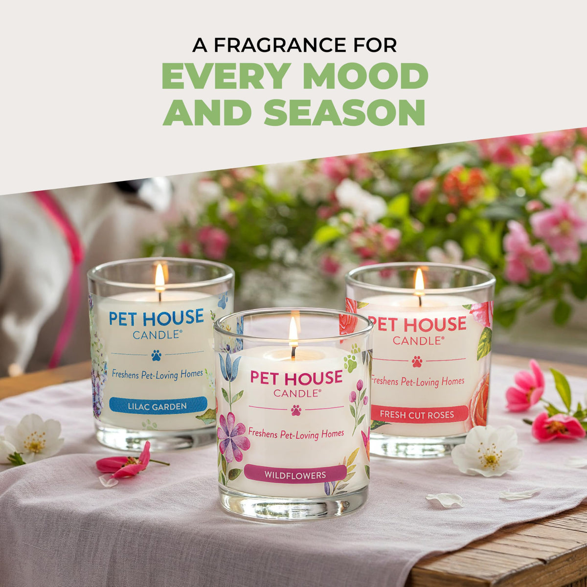 Pet House Candles, Natural Plant-Based, Long Lasting Candles for Pet Odor, 60 Hour Burn Time - Juicy Melon, 9 oz