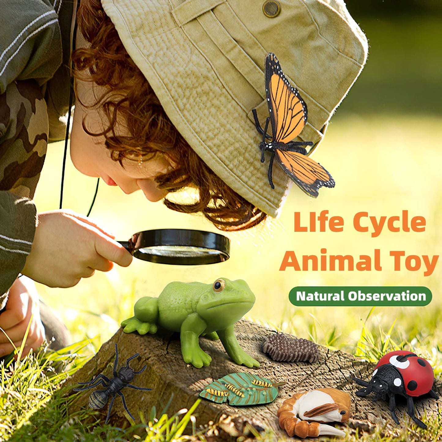 MIKNEKE Montessori Chicken Life Cycle with Flash Cards, Realistic Animal Figurines Toy, Animal Educational Matching Game for 3+ Year Old Toddlers Kids (Cock)