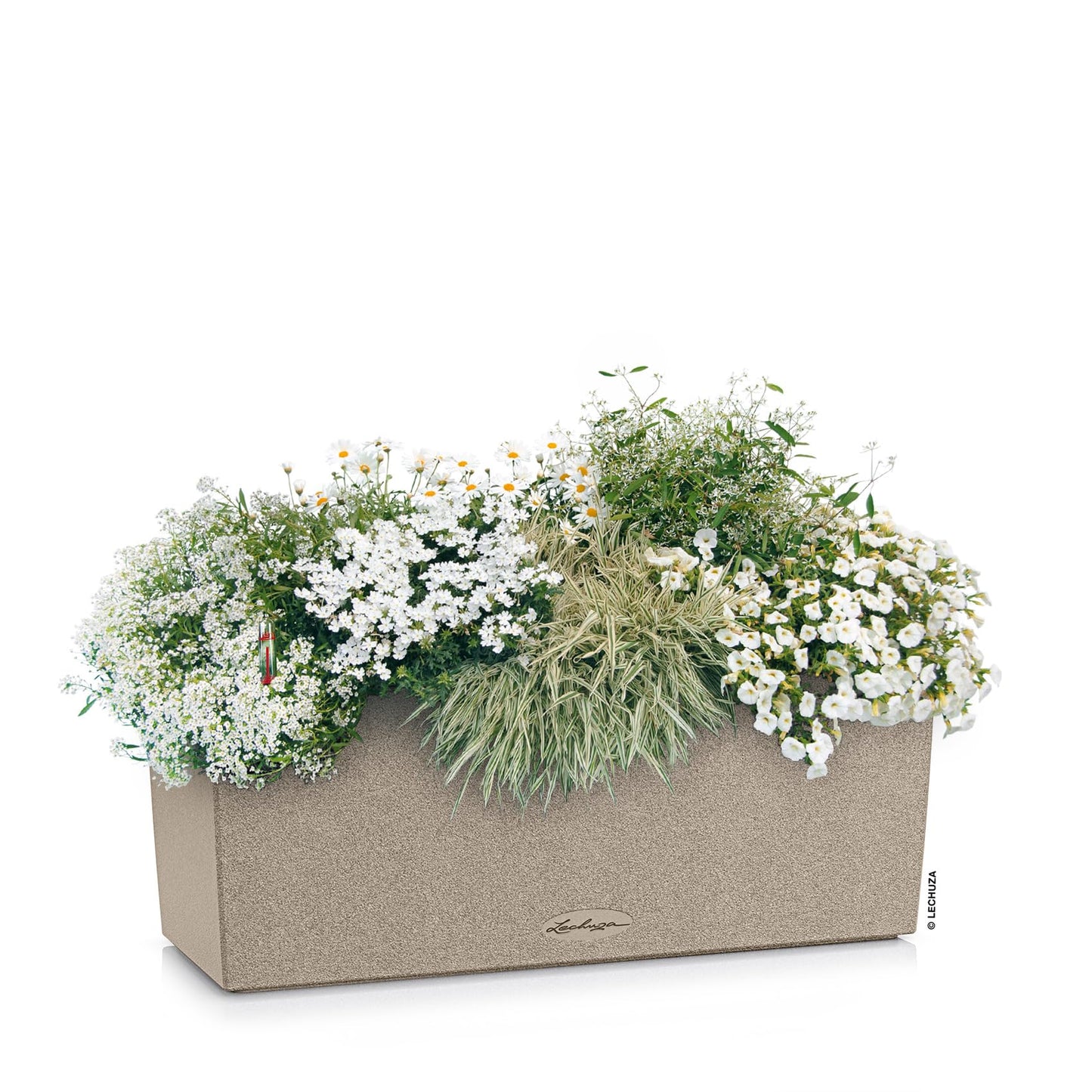 Lechuza 15651 Balconera Stone 50 Self-Watering Garden Planter for Indoor and Outdoor Use, 20" x 7" x 7", Sandy Beige