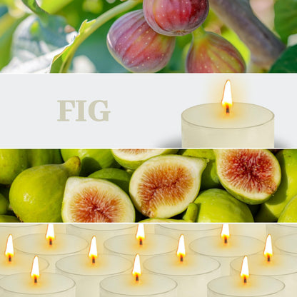 Fig Scented Tea Light Candles 24 Pack Beige Hand Poured Smokeless 4 Hours Clean Burning Small Round Clear Cups Tealight Candles for Romantic Dinners Wedding Centerpieces Cozy Evenings