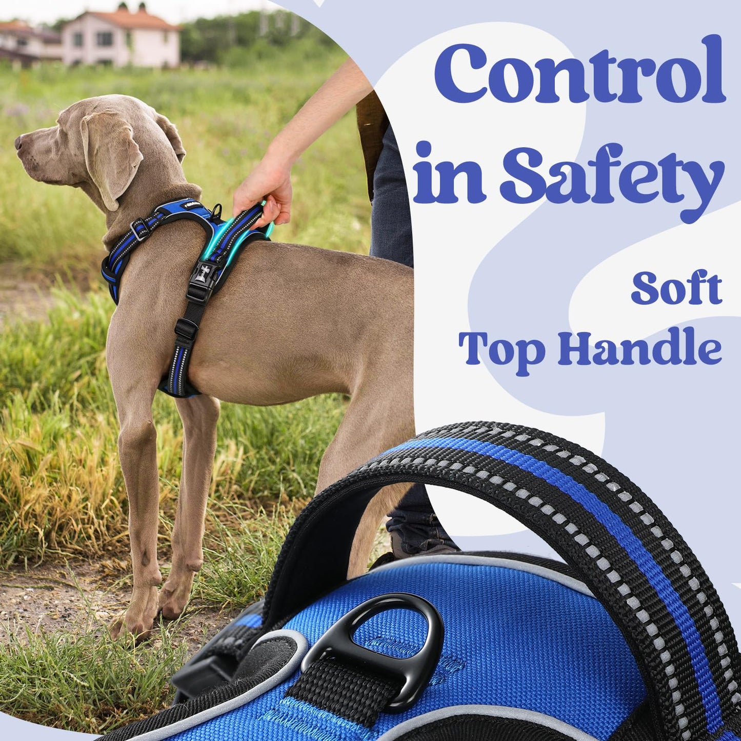 rabbitgoo Dog Harness Medium Sized, No Pull Pet Harness with 3 Buckles, Adjustable Soft Padded Pooch Vest with Instant Control Handle, Easy Walking Reflective Pet Vest for Medium Dogs, Blue, M