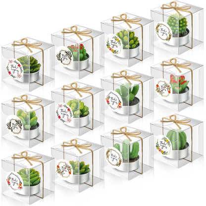 Qunclay 12 Sets Succulent Cactus Candle Party Favor Mini Succulent Tealight Candle Gift Smokeless for Wedding Graduation Birthday Party Anniversary Celebration Spa Home Decor