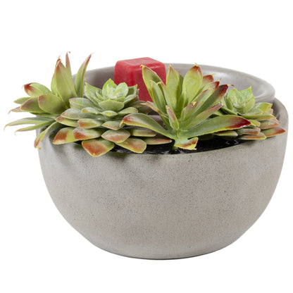 Scentsationals Wax Warmer Boho Collection, Scented Wax Cube Melter, Electric Fragrance and Oil Burner, Wickless Candle Air Freshener, Indoor Home Decor, House Decoration Year Round (Succulent Bowl)