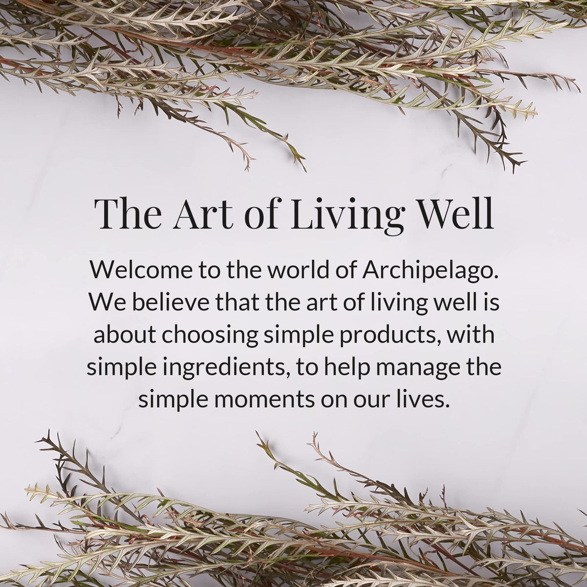 Archipelago Botanicals Stonehenge Glass Jar Candle, Cedarwood, Citrus Bergamot and Amber Scent, Lead-Free Candle Wicks, Burns Approx. 60 Hours (8.6 oz) (Pack of 2)
