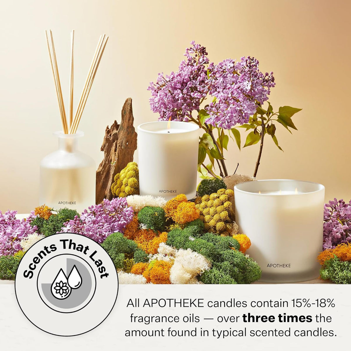 Apotheke Signature Scented Candles for Home, Hinoki Lavender - 10.5 oz - Soy Wax, Non Toxic, Large Jar White - Luxury Candle Gifts for Women & Men - Hinoki Cypress, Lavender, and Lotus Flower