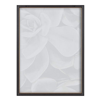 Kate and Laurel Blake Botanical Succulent Plants 2 Framed Printed Glass Wall Art by The Creative Bunch Studio, 18x24 Gray, Succulent Art for Wall
