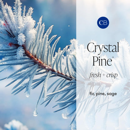Capri Blue Crystal Pine Scented - Glimmer Inverted Jar Candles - Soy Candles - Holiday Candle with Emerald Green & Gold Ombre Glass Candle Holder (10 oz)
