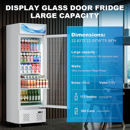 FreezLabs White Commercial Glass Door Display Refrigerator 11 Cu.ft Cooler Beverage Refrigerators with LED Light and 5 Shelves for Cafe Restaurant Store Bar