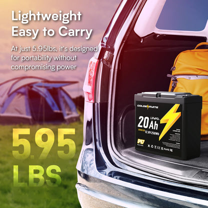 GOLDENMATE 12V 20Ah LiFePO4 Battery(2 Packs), IP67 Waterproof, 12V Lithium Battery with 5000+ Deep Cycles, Built-in BMS & Premium Battery Cells, Ideal for Solar, Marine, Fishfinder, Off-grid camping