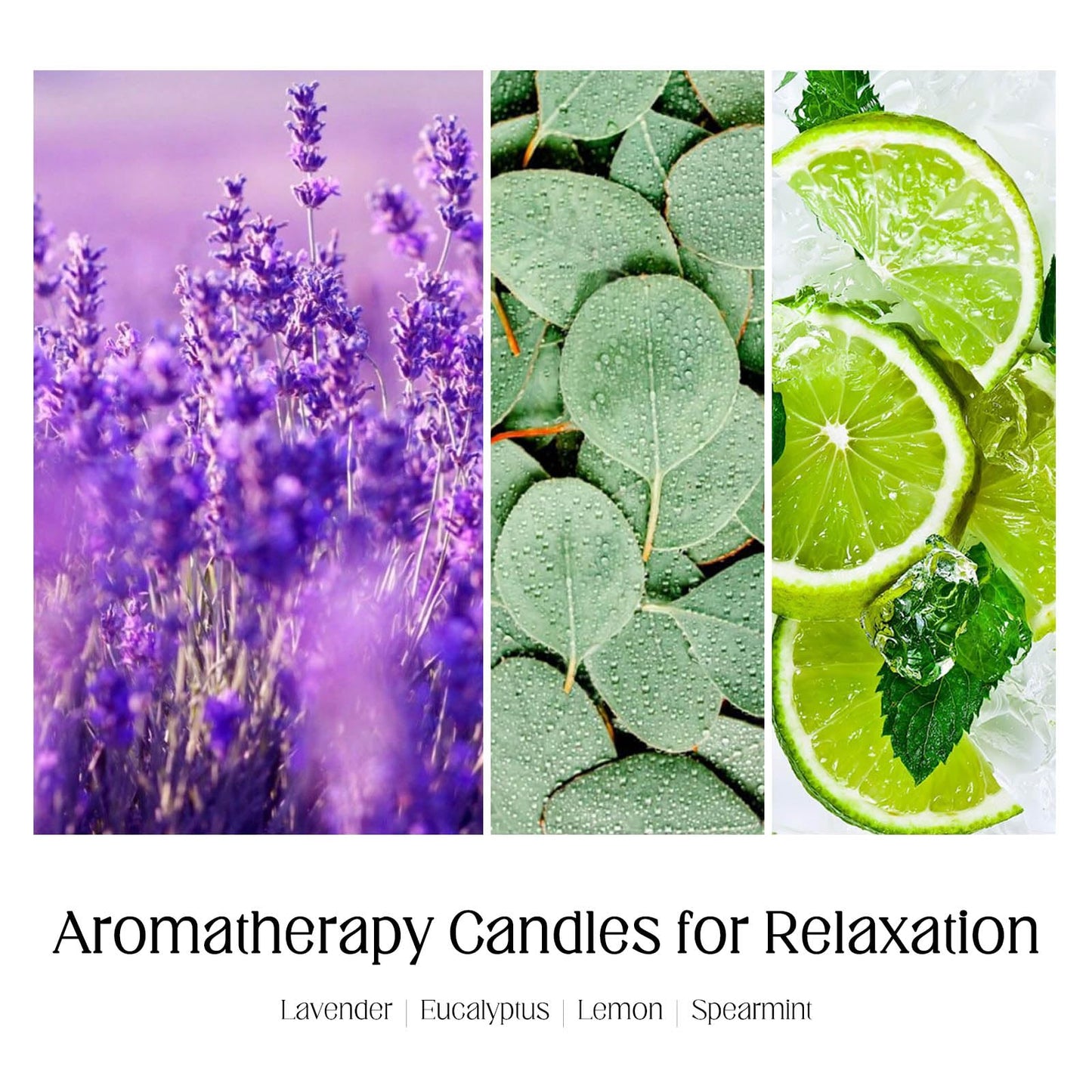 KOTKAS Lavender Eucalyptus Scented Candles - 8oz Natural Scented Soy Candles for Home Non Toxic Aromatherapy Lavender Candles Gifts for Women Bath Relaxing Calming Soothing Relaxation Stress Relief
