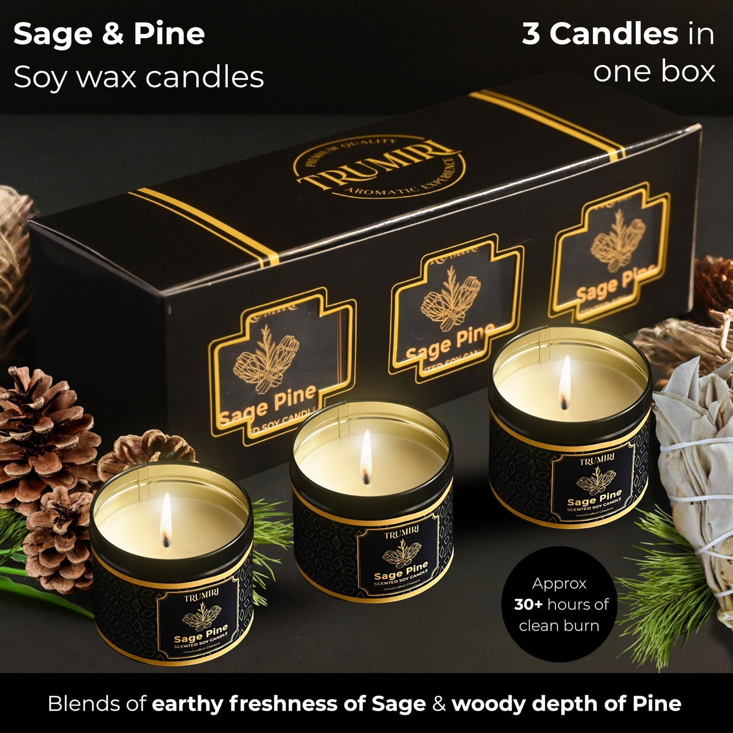 Sage & Pine Candle Strong Scented Soy Candel Natural Non Toxic Velas Aromáticas for Home Gift for Fall Christmas Holidays Pack of 3 5Oz Decorative Tin Jars with Lids