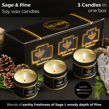 Sage & Pine Candle Strong Scented Soy Candel Natural Non Toxic Velas Aromáticas for Home Gift for Fall Christmas Holidays Pack of 3 5Oz Decorative Tin Jars with Lids