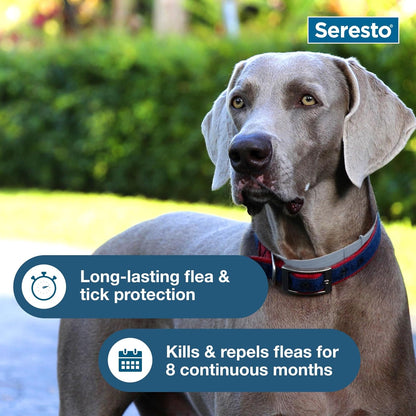 Seresto Flea & Tick Collar for Dogs Over 18 lbs - Vet-Recommended 8-Month Treatment & Prevention