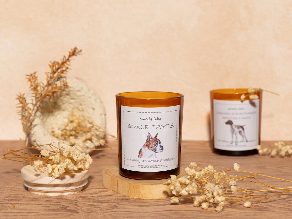 German Shorthaired Pointer Gifts, GSP Gift, Smells Like German Shorthaired Pointer Farts Candle - Lavender & Eucalyptus, Crafted by Natural Soy Wax & Natural Essential Oils