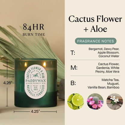 Paddywax Vista Scented Candle with Lid in Reusable Tonal Glass Jar, Clean-Burn 2-Wick Soy Candle with Approx. 84 Hour Burn Time, Decorative Gift Candles for Home, Cactus Flower & Aloe, 12 oz