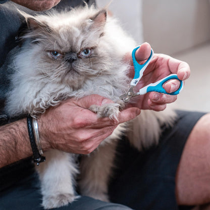 Mr. Pen- Cat Nail Clipper, Pet Nail Trimmers, Kitten Claw Clippers, Easy to Use, Precision and Sharp Cut