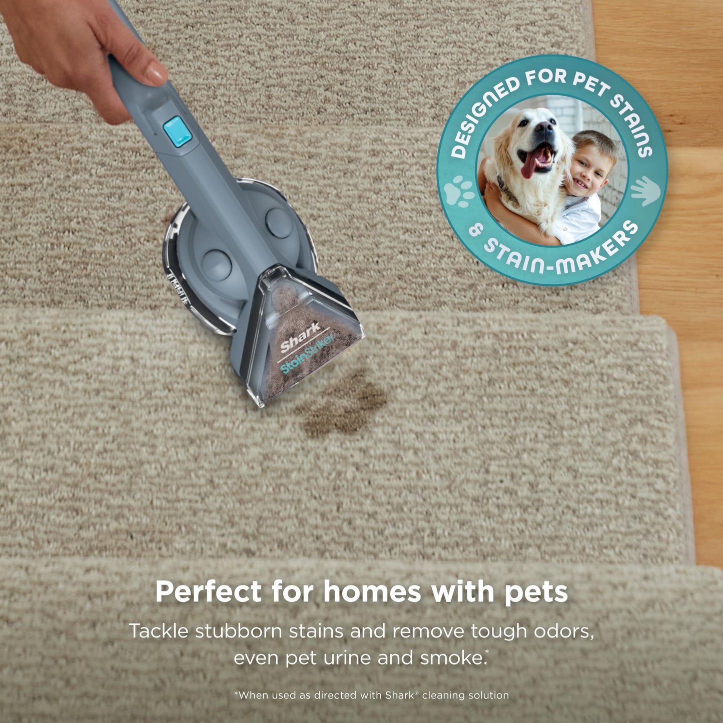 Shark StainStriker | Portable Carpet, Upholstery & Area Rug Cleaner | 4 Tools | Bonus Full-Size Solutions | Powerful Stain & Odor Remover | Deep Clean & OXY Solutions | Blue | PX202BRN