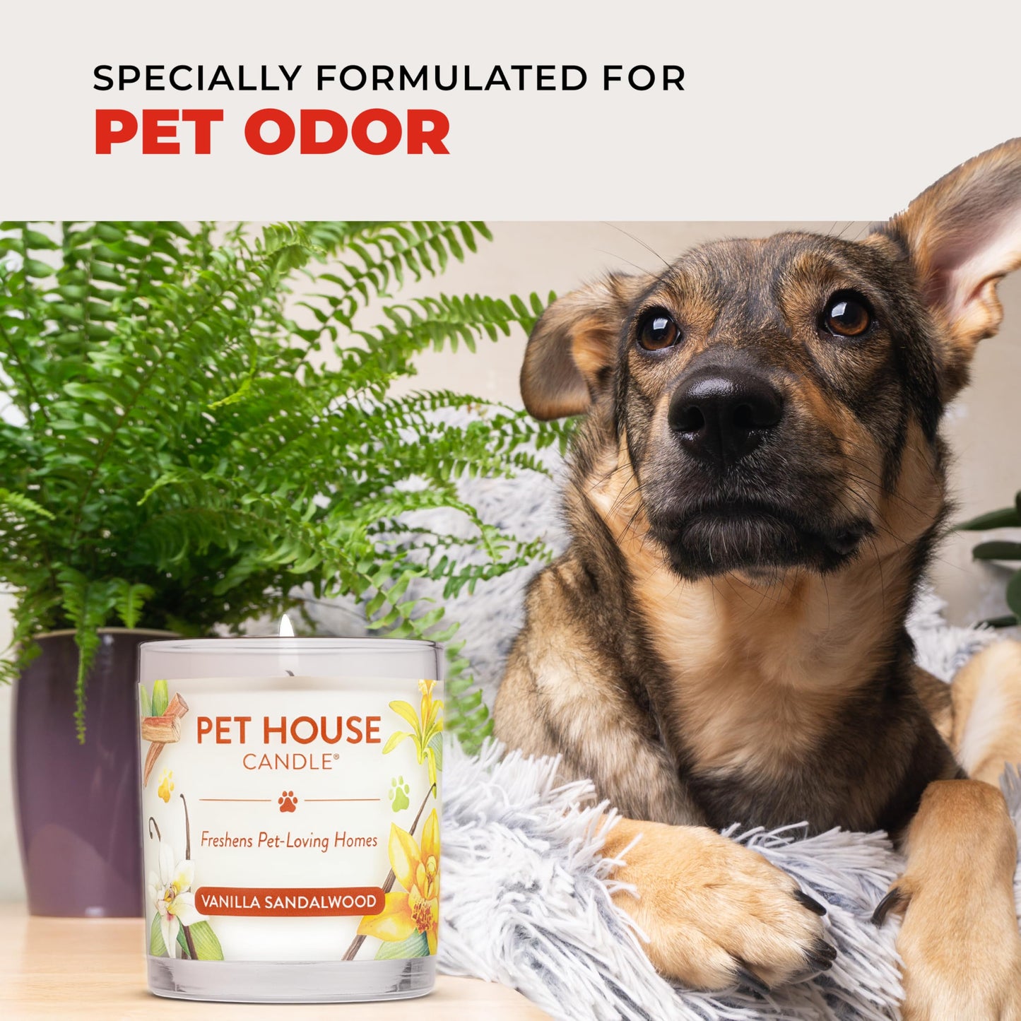 One Fur All Pet House Candle 2 Pack - Plant-Based/Soy - Clean Burning Scented, Long Lasting Pet Odor Candle for Home -Sweet Cranberries