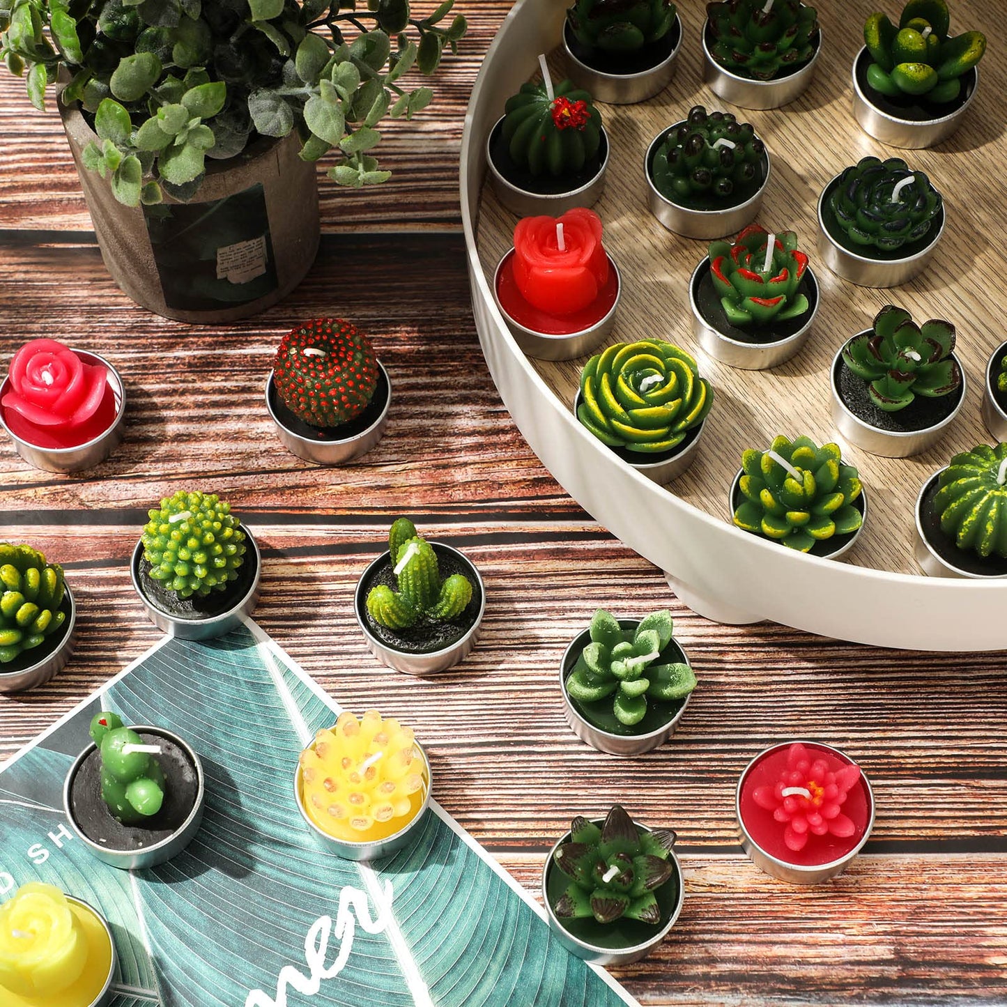 Shihanee 48 Pcs Succulent Cactus Tealights 24 Styles Handmade Mini Plant Tealight Candles Bulk Unscented Smokeless for Wedding Spa Graduation Baby Shower Housewarming Gifts Mexican Party Favors