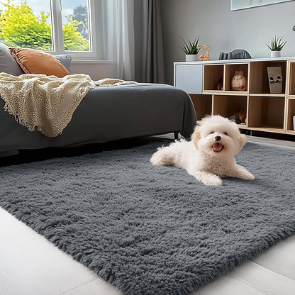 OLANLY Chenille Dog Door Mat - Soft & Absorbent Area Rug Bundle | 30x20 in & 4x5.9 ft - Grey