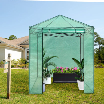 PexFix 6'x 5' Portable Walk-in Greenhouse, Easy Setup, Indoor/Outdoor, 2 Roll-Up Mesh Windows, Roll-Up Zipper Door, Green