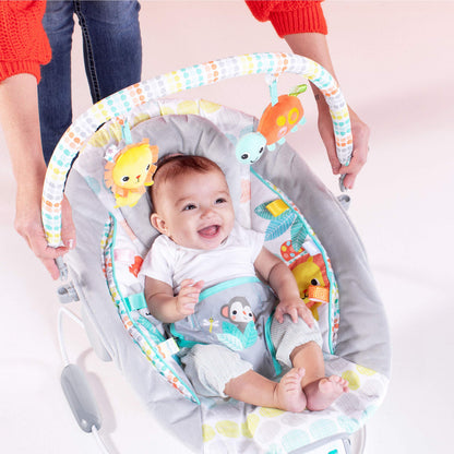 Bright Starts Comfy Baby Bouncer Soothing Vibrations Infant Seat - Taggies, Music, Removable -Toy Bar, 0-6 Months Up to 20 lbs (Whimsical Wild)