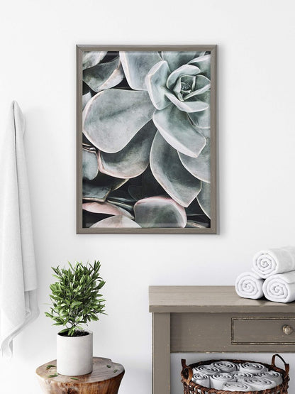 Kate and Laurel Blake Botanical Succulent Plants 2 Framed Printed Glass Wall Art by The Creative Bunch Studio, 18x24 Gray, Succulent Art for Wall