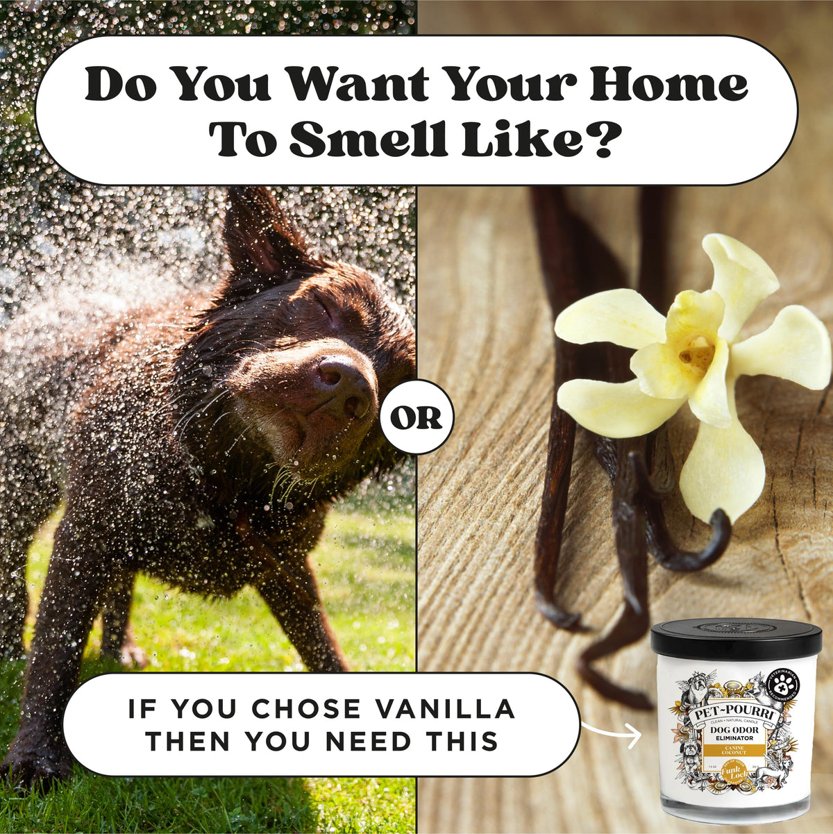 Pet-Pourri Canine Coconut Dog Deodorizer Candle – Puppy & Dog Safe – Plant Based Ingredients & Wax – Vet Approved – Aromatherapy & Air Freshener for Pet Odor – Scented with Bamboo, Jasmine & Pear