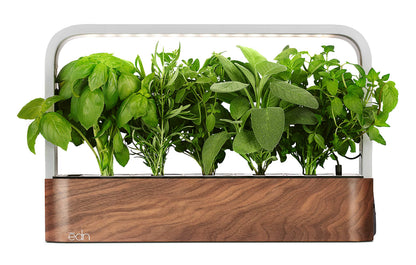 EDN SmallGarden with Basil SeedPods, Indoor Grow Smart Garden for iOS Devices - Fresh Home Grown Herbs, Plants and Flowers - Grow up to 10 Different Plants at Once