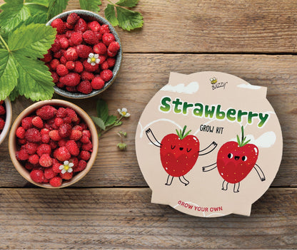 Buzzy Seeds Kids Mini Basin Seed Grow Kit, Strawberry, Kids Collection | Flower Starter Kit for Kids & Adults | Guaranteed to Grow | Best Indoor Grow Your Own Plant Gardening Gift