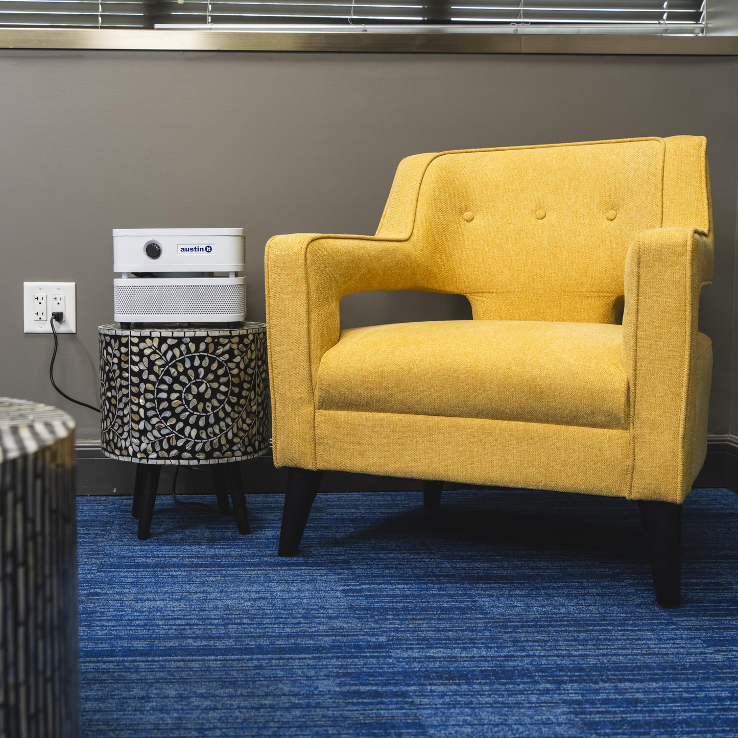 Austin Air it Room Air Purifier with VOC Carbon Wrap Air Filters - Personal Air Filter Single Room Air Purifiers - Portable Allergy Purifier - Stylish Tabletop Purifier for Dust, Model C100CC1