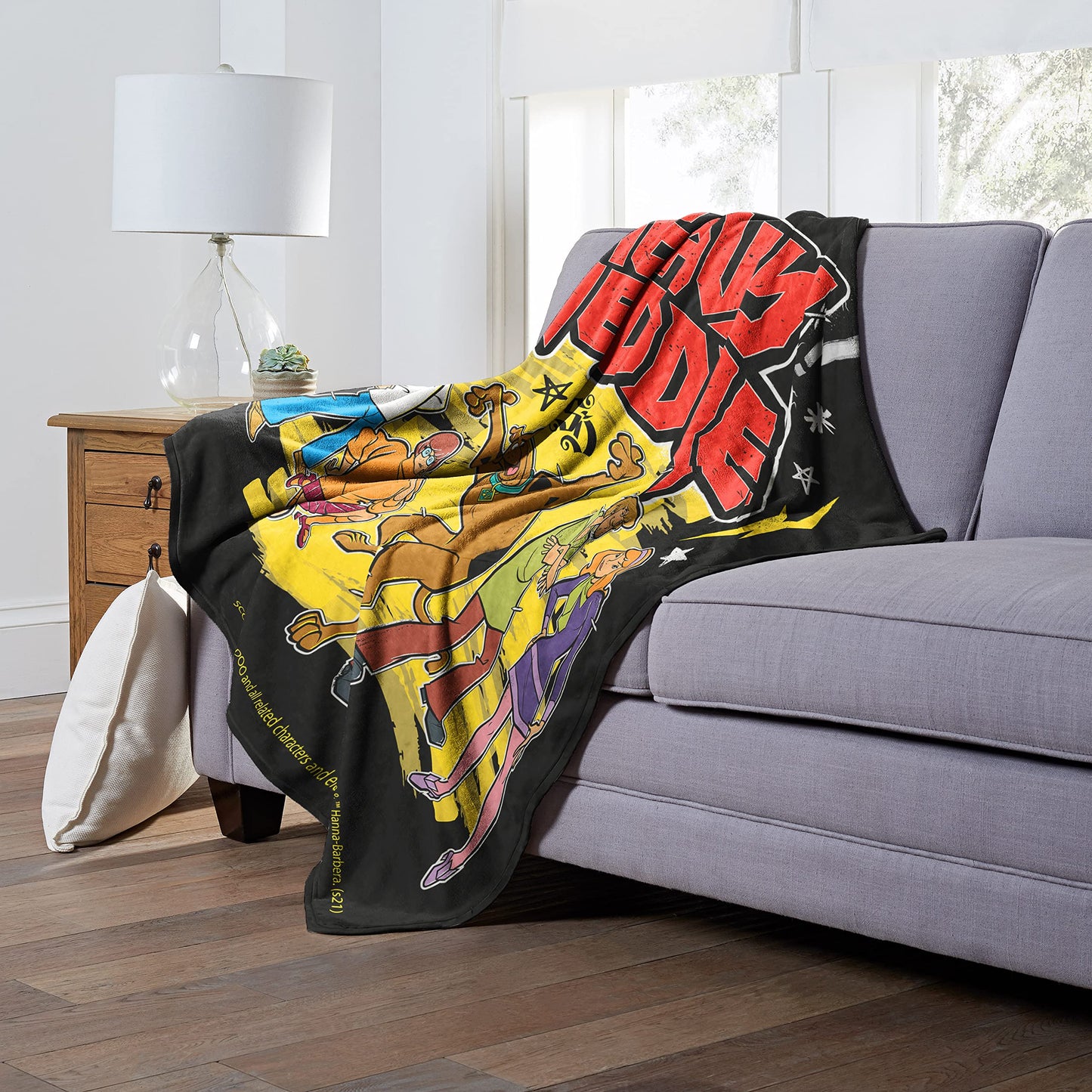 Northwest Scooby Doo Silk Touch Throw Blanket, 50" x 60", Heavy Meddle