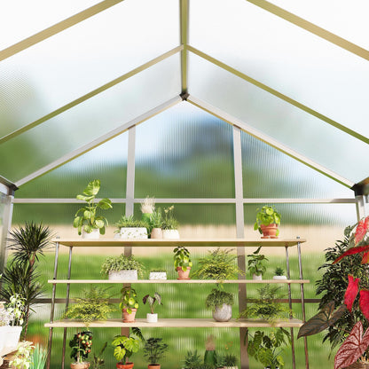 GarveeHome 6X10 FT Greenhouse for Outdoors, Walk-in Greenhouse Kit with Aluminum Frame, Polycarbonate Panels, Adjustable Roof Vent, Sliding Door, Secure Lock for Outside Garden, Patio, Backyard