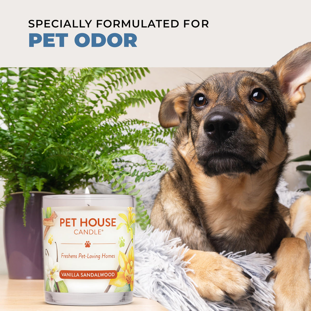 Pet House Candles, Plant-Based Pet Candle Clean Burning, 60 Hour Burn Time with a Natural Fiber Wick - Bamboo Watermint