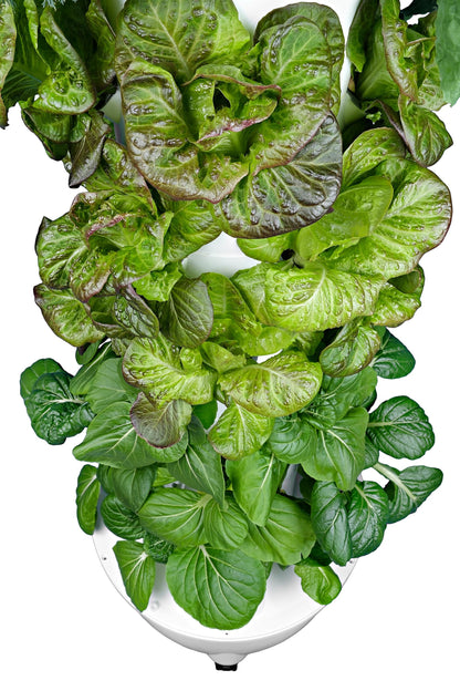 ALTO GARDEN HX Aeroponic Tower | High Capacity Tower | Hydroponics Growing System Kit | Food Grade with 40 Net Pots (Without Lights)