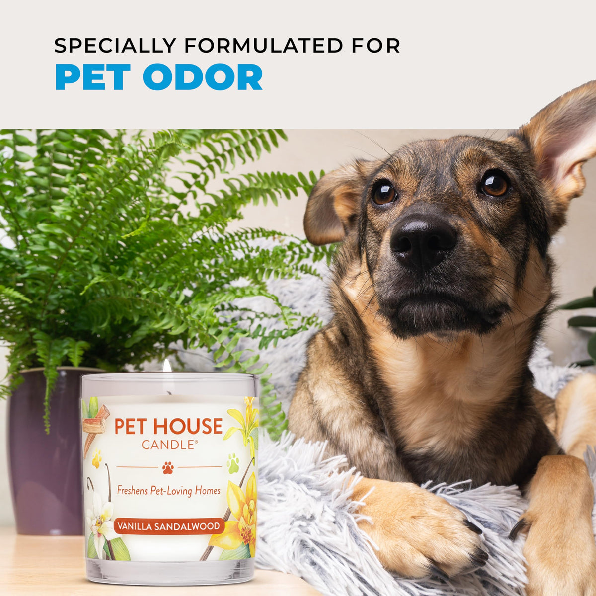 Pet House Candles, Clean Long-Lasting Pet Odor Candles for Home, Plant-Based, 60 Hour Burn Time - Lemon Cupcake, 9 oz