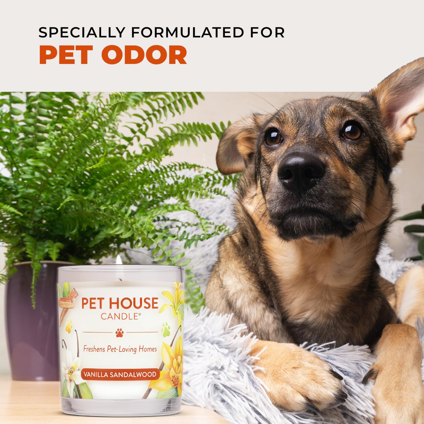 One Fur All Pet Odor Candles 2 Pack, Plant-Based Soy, Clean Burning Scented Candles for Pet Loving Homes - Pumpkin Spice, Apple Cider 2 Pack