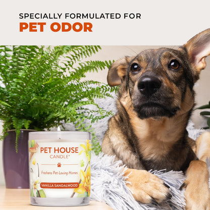 One Fur All Pet Odor Candles 2 Pack, Plant-Based Soy, Clean Burning Scented Candles for Pet Loving Homes - Pumpkin Spice, Apple Cider 2 Pack