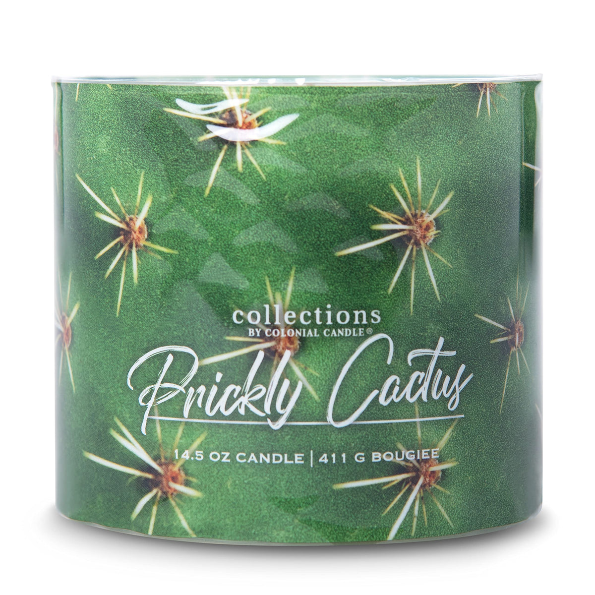 Colonial Candle Prickly Cactus Scented Jar Candle, Desert Collection, Purple, 3 Wick, 14.5 oz