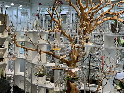 WGV Hanging Terrarium Globe, Width 3", Height 4", DIY Air Succulent Planter, Clear Glass Vase Orb with Flat Bottom, Candle Holder for Windowsill Outdoor Garden Decor, 6 Pieces Bulk