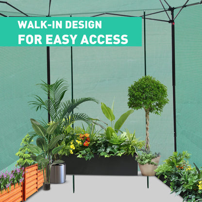 PexFix 6'x 5' Portable Walk-in Greenhouse, Easy Setup, Indoor/Outdoor, 2 Roll-Up Mesh Windows, Roll-Up Zipper Door, Green