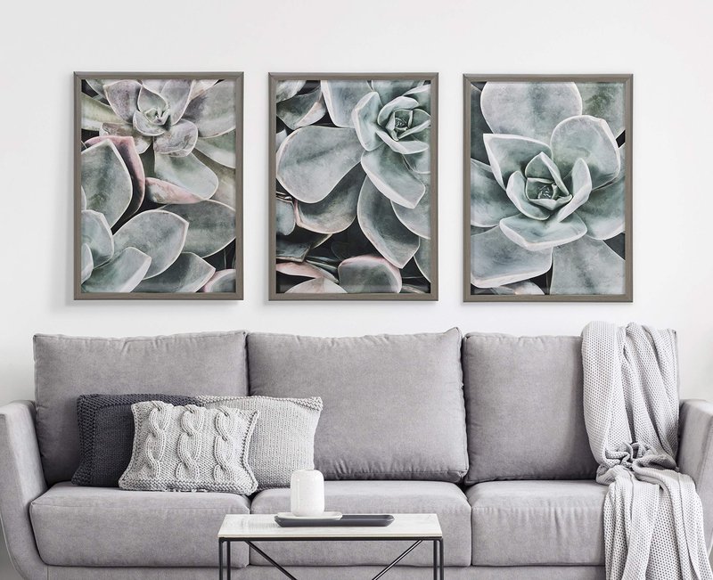 Kate and Laurel Blake Botanical Succulent Plants 2 Framed Printed Glass Wall Art by The Creative Bunch Studio, 18x24 Gray, Succulent Art for Wall
