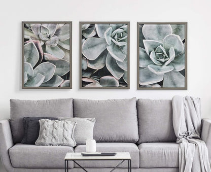 Kate and Laurel Blake Botanical Succulent Plants 2 Framed Printed Glass Wall Art by The Creative Bunch Studio, 18x24 Gray, Succulent Art for Wall
