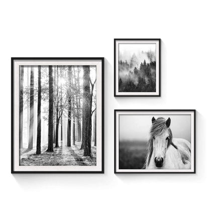 Forest Sunrise Pictures Framed Prints - Peaceful Landscape Scene and Elegant White Horse Wall Art Sets for Living Room, Bedroom, Office, Bathroom 3 Panels