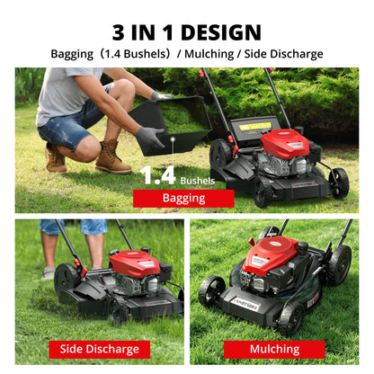 AMERISUN 21-Inch 3IN1 Push Gas Lawn Mower with Mulching, Bagging & Side Discharge, 144cc 4-Stroke OHV Engine, Adjustable 6-Height Cutting, 1.4 Bushel Grass Catcher, Residential Yard & Garden Use
