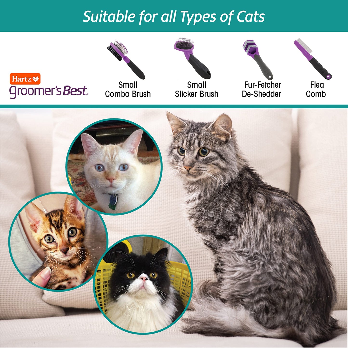 Hartz Groomer's Best Small Slicker Brush for Cats and Small Dogs, Black/Violet, 1 Count