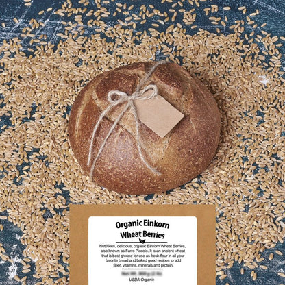 Be Still Farms Einkorn Farro Grain Organic (4.8 lb) - Einkorn Wheat Berries Bulk Whole Ancient Grains - Ideal for Soup, Flour, Bread - High in Fiber | USA Grown | USDA Certified | Vegan | Non-GMO